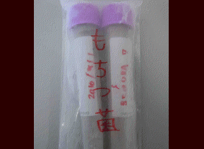 item1